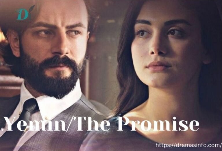 Best and Famous Turkish Drama Yemin (The Promise)
