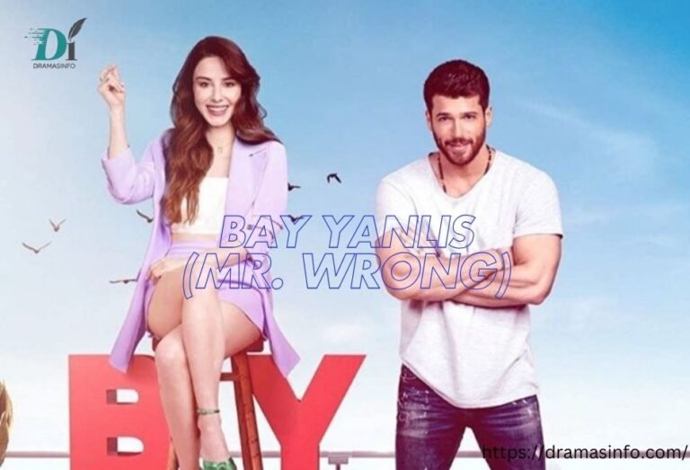 Bay Yanlis (Mr. Wrong) Most Romantic Turkish Drama